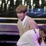 [박우진] 인간도<b>토리</b> 고화질