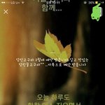 [댓글부탁해] ㄹㅇ아줌마같은 <b>상메</b> 추천 좀