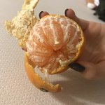 우리 집에 처음 보는 <b>열대</b>과일 있음