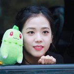<b>치코</b>리타와 지수