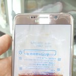 [고양이] 죽어가는 유기묘 러시안블루를 도와주세요