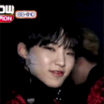 [세븐틴] 분위기<b>전환</b>겸 햄찌모음