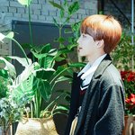 [세븐틴] 짤!파!티!