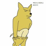 [드루와] 나 공부에 <b>재능</b>있는 듯ㅇㅇ 좋다