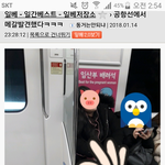 일베의 주작여혐글에 대한 일베들 반응