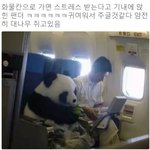 [드루와] 슈가맨시즌2 <b>첫방</b> 본사람?