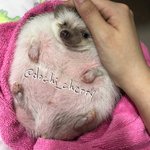 ㅁㅊ판녀들아 이 글 댓글 봐봐 <b>개</b>심각하다 친목