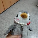 쌍수 해야할까..?