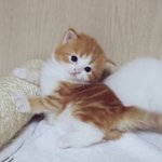 [댓글부탁해] 학원 추반하고 가면 반배정헷<b>꿀꿀</b>