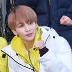 [세븐틴] <b>정한</b>이 손 뭐지? (당황