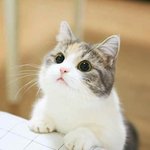 [댓글부탁해] 얘들아 대학 <b>오티</b> 때 뭐 입어?