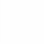 [댓글부탁해] 한국와서 설치는 <b>양남</b>들말이야