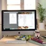 [식물] 오랜만에 반려식물 들고 찾아왔어요 ! ㅎㅎㅎ