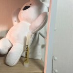 얘 때문에 집에 들어가기가 좋당