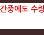 [세븐틴] 캐로시들 예판도 <b>품절</b>될 수 있데