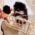 귀여워ㅠㅜㅜㅜㅜ