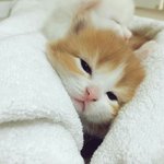 민지야 보고<b>시퐁</b>~