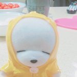 [드루와] ㅋㅋㅋㅋㅋㅋㅋㅋ인형 발견햇는데