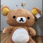 [댓글부탁해] 거대 리락쿠마 <b>인형</b> <b>팔</b>건데 살사람있니??