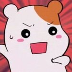 [드루와] 농어촌<b>전형</b> 노리는 거 이제 무쓸모임