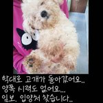 실화냐?? 안동에서 일어난 일!!!! 제발 <b>클릭</b>해서 봐줘