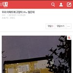 혹시 아파트 길고양이 기억나는 사람