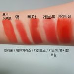 [댓글부탁해] 웜톤립스틱/틴트 추천 (사진유)