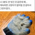 [댓글부탁해] 가사만 보고 제목 맞춰봐!!