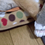 [쉬었다가자] 함부로 여친한테 팔<b>베게</b>를 해주면 ㅈ되는 이유