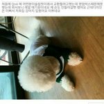 <b>해피</b>투게더 노래방있잖아