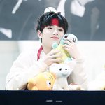 [스키즈] <b>양정인</b> 인형구분못함