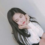 노네 왜 트로이