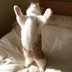 오늘 할 일