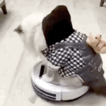 [드루오라고] 영정풀고 싶냐? 드루와