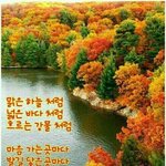 [댓글부탁해] 짤 모으기 좋은 예쁜 분 추천해주라!