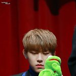 [박우진] 지금 연검+<b>정화</b> 다들 미친듯이 하고있는거 알지