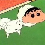[급해] 얘들아 좋은 노래 많이 아는 사람 들어와줘 ㅠㅠㅠ