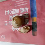 야 우리집 고양이 ㅈㄴ 웃김 ㅋㅋㅋ