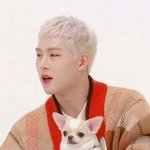 [댓글부탁해] 주헌 강아지 종 뭔지 알려줄사람ㅠㅠㅠㅠㅠ