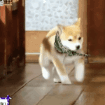 ㅁㅊ 셀카 <b>존</b><b>잼</b>이당
