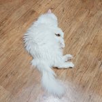 [EXO] 내 <b>딸래미</b>는 꿈나라