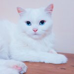 [EXO] <b>딸래미</b> 자랑~.~