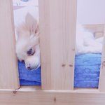 [EXO] 우리 <b>집</b> 막내 <b>딸</b>임