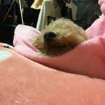 [EXO] 우리 딸 <b>주댕이</b>