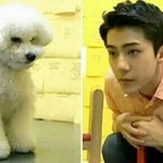 [EXO] 시.발오세훈조카<b>기여</b><b>워</b> ㅅㅂㅅㅂ납치하고싶다