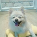 [EXO] 우리 <b>집</b> 막내 <b>딸</b> 2