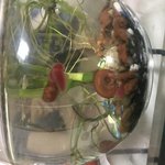 [EXO] <b>yo</b>수생동물 모여라