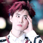 [EXO] <b>본격</b> 리더의 얼굴, 얼굴 크기 자랑