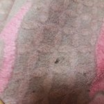 [EXO] 야 엓몽 얘기 아니고 미안 사담인데 좀 도와줘라 급함