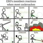 [EXO] 짹줍인데 이거 뭔가 그럴싸하면서도 안맞는 것 같음